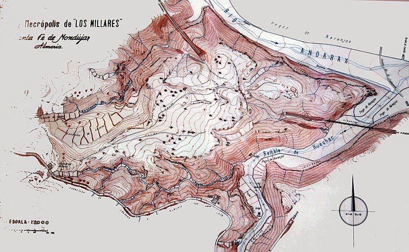 Los Millares. Plano de situación de las tumbas y el poblado. Almagro y Arribas, 1959