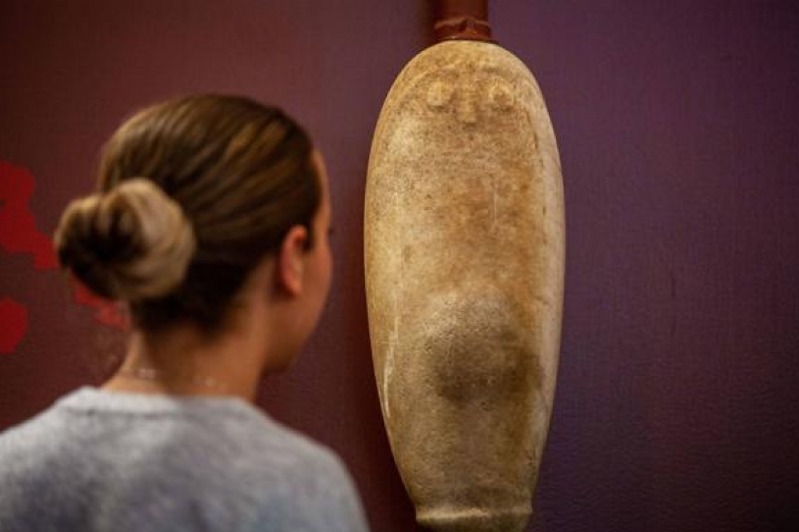 Conflicto por el ídolo calcolítico y la "estela de guerrero" de Almargen, Málaga