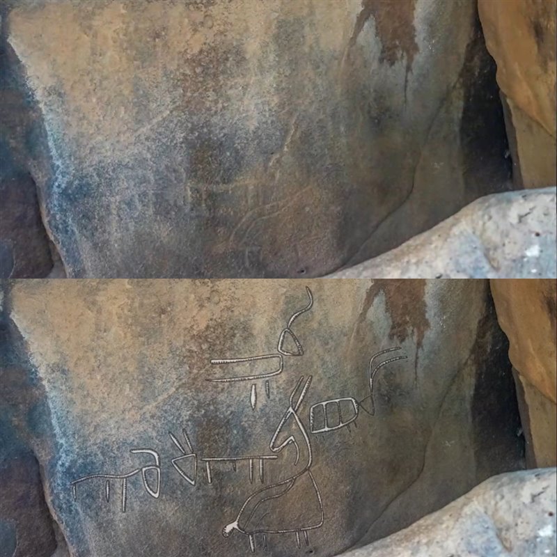 Representaciones de animales grabados en el dolmen de Yehudiya. Fuente: NG/ Autoridad de Antigüedades de Israel