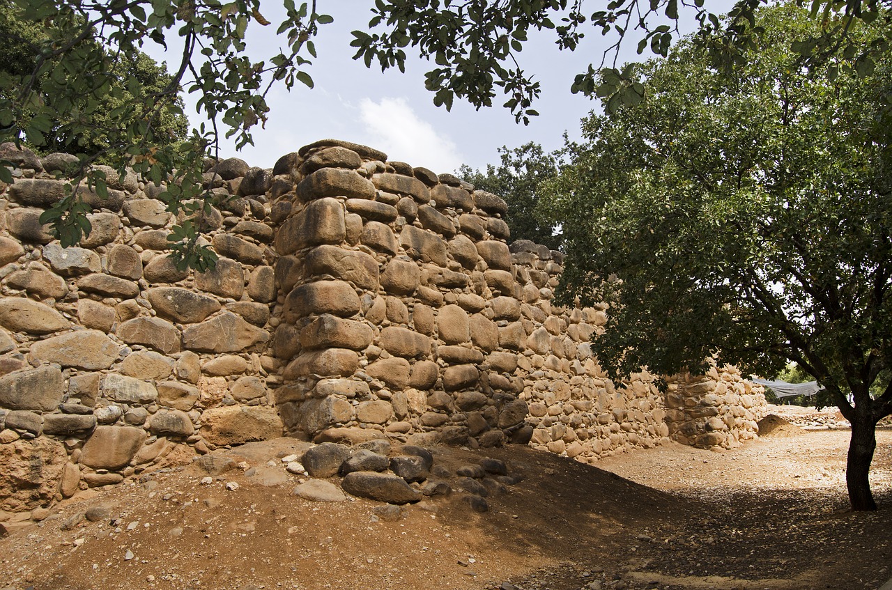 Muralla de Tel Dan (Israel) con muralla y bastiones de tipo argárico. Fuente: Jim Black