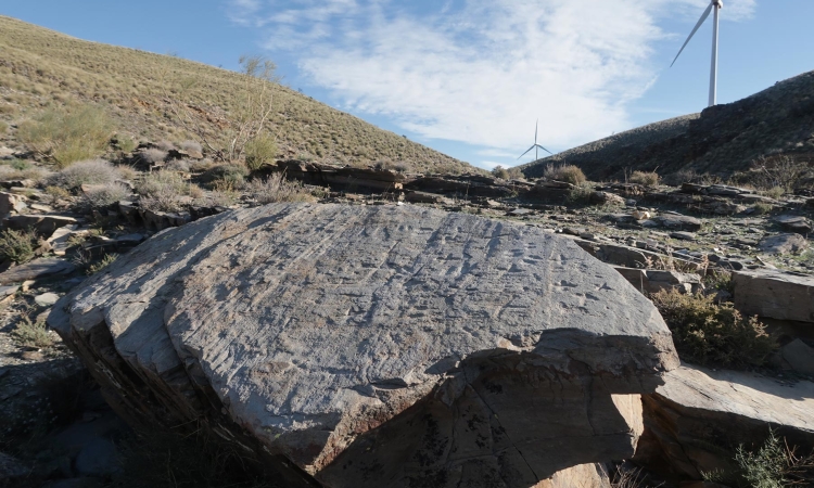 Visita al poblado y necrópolis calcolítica de Abla. Interpretada la mayor inscripción de protoescritura ELA 