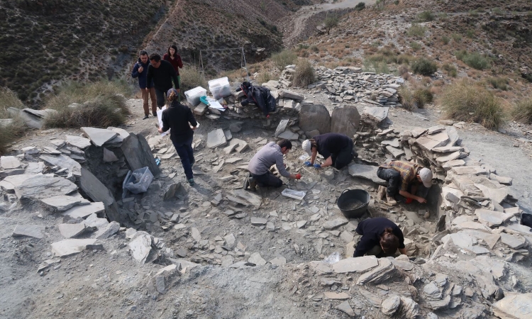 Nuevos hallazgos en la excavación de la necrópolis calcolítica de Los Milanes