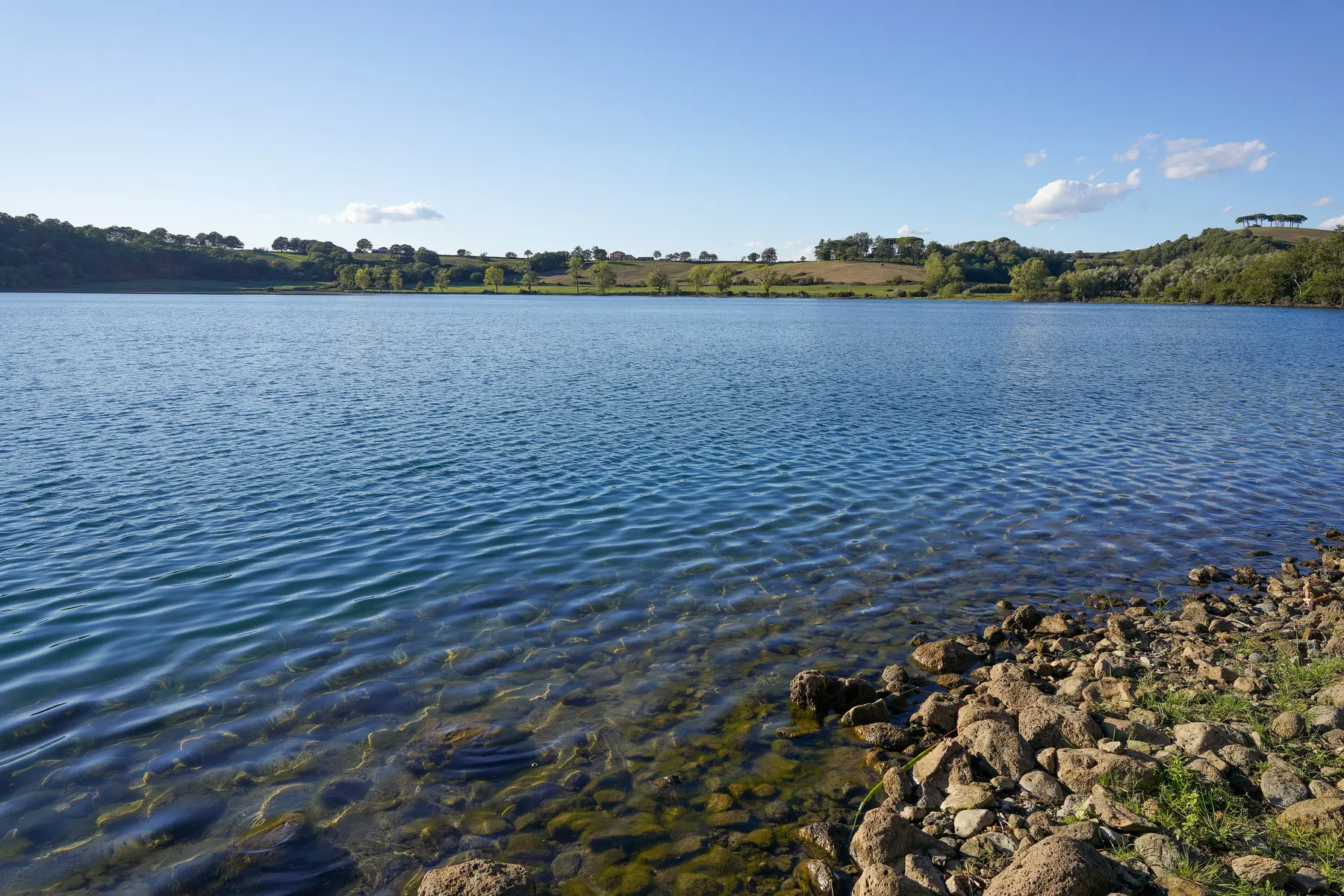 Orilla pedregosa y aguas del lago de Mezzano, rodeado por una franja de vegetación.